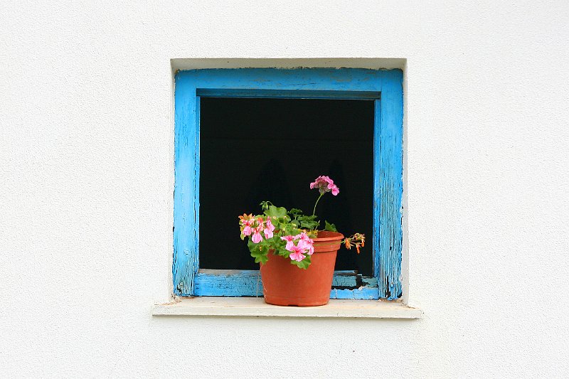Flowerpot.jpg