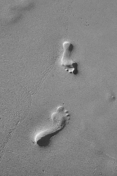 Footprints.jpg