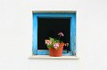 Flowerpot