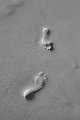 Footprints
